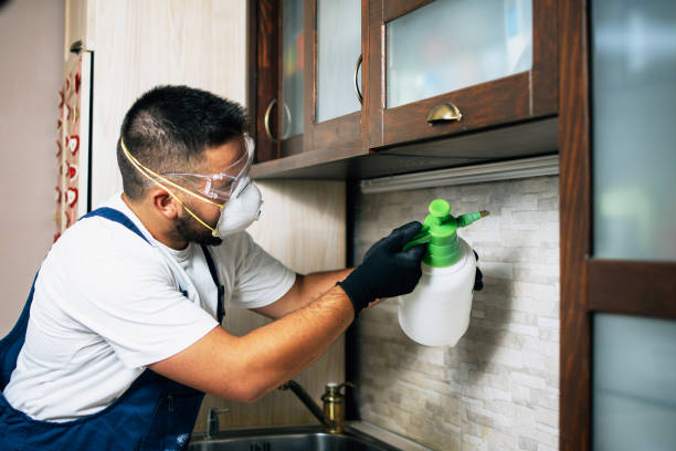 Best Pest Inspection Near Me  in Prudhoe Bay, AK
