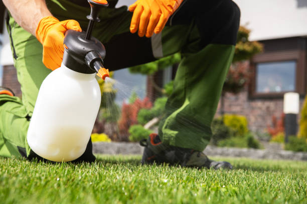 Best Mosquito Control Services  in Prudhoe Bay, AK