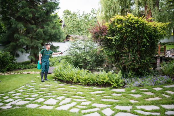 Best Ant Control Services  in Prudhoe Bay, AK