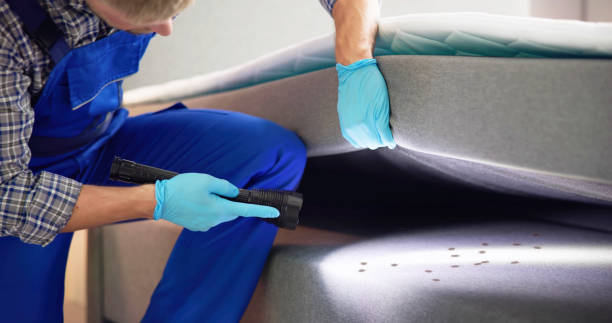 Trusted Prudhoe Bay, AK Pest Control Experts