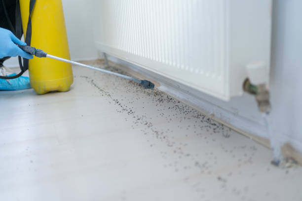 Best Best Pest Control Companies  in Prudhoe Bay, AK