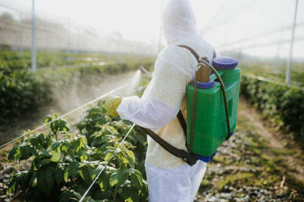 Best Bed Bug Extermination  in Prudhoe Bay, AK